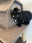 Oskar_Frieda (5)